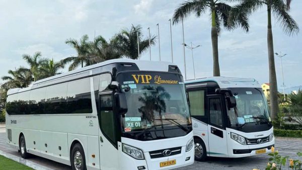 Tổng quan các loại xe