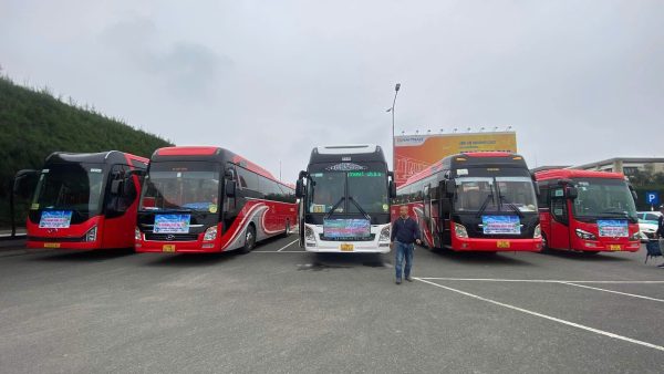 Tổng quan các loại xe